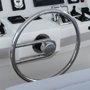 Controls and Steering